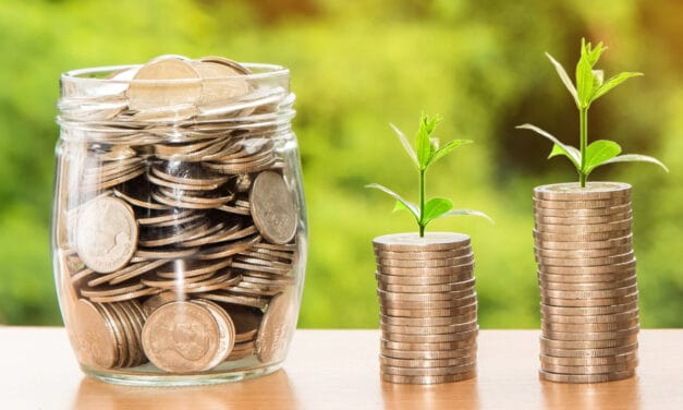 Book – ‘Pensionless – The 10 Step Solution for a Stress-Free Retirement’ – Emily Brandon